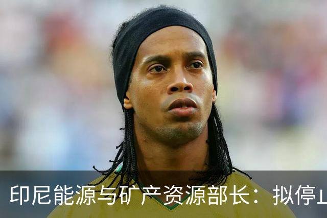 印尼能源与矿产资源部长：拟停止向不尊重印尼的国家供能