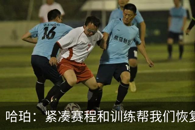 哈珀：紧凑赛程和训练帮我们恢复体型 教练允许我们顶着疲劳打球
