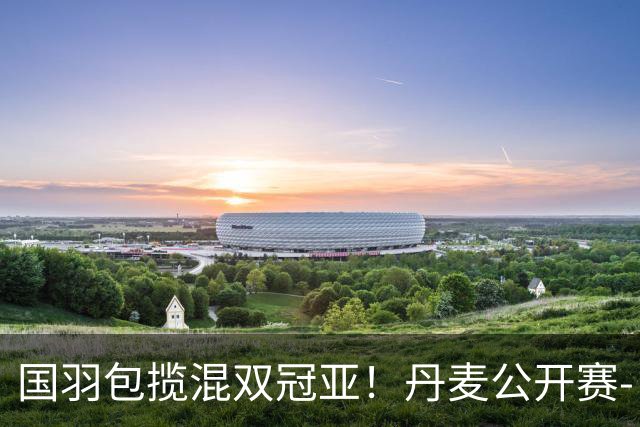 国羽包揽混双冠亚！丹麦公开赛-丫邦2-1逆转赢德比 与凤凰会师决赛