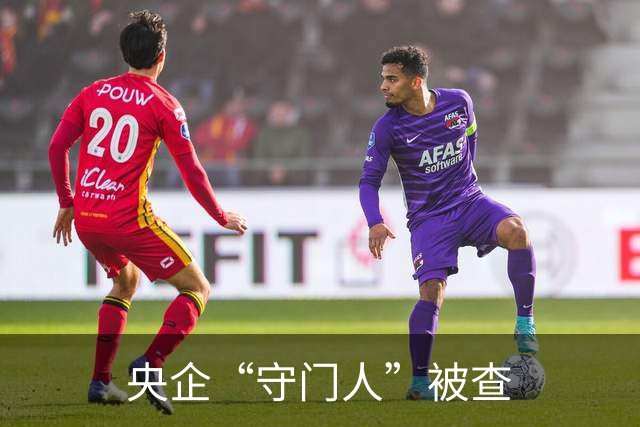 央企“守门人”被查