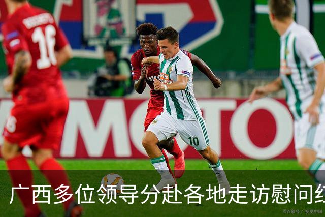 广西多位领导分赴各地走访慰问红军失散人员