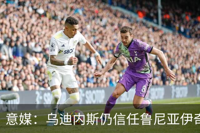意媒：乌迪内斯仍信任鲁尼亚伊奇，接下来的两场比赛是关键