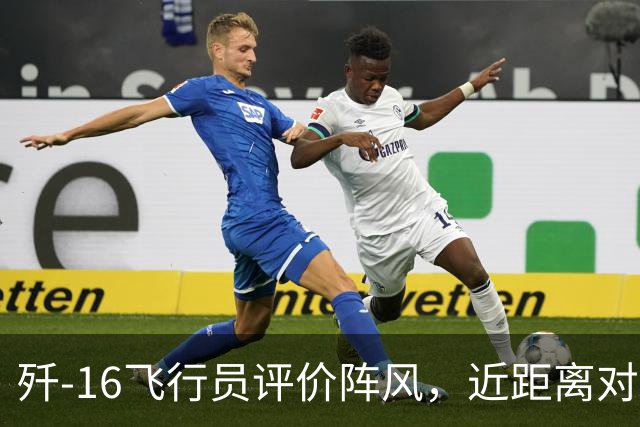 歼-16飞行员评价阵风，近距离对抗确实非常难缠，差点心里没底