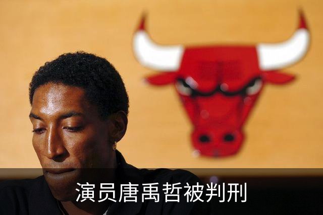 演员唐禹哲被判刑