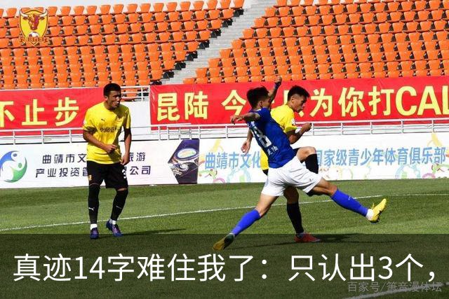真迹14字难住我了：只认出3个，剩下全靠猜；全对的人请收下我的请教。
