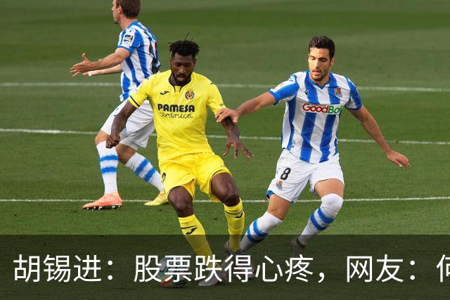 胡锡进：股票跌得心疼，网友：何止心疼，完全是肉疼