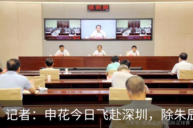记者：申花今日飞赴深圳，除朱辰杰盖伊等伤员外几乎全员出征